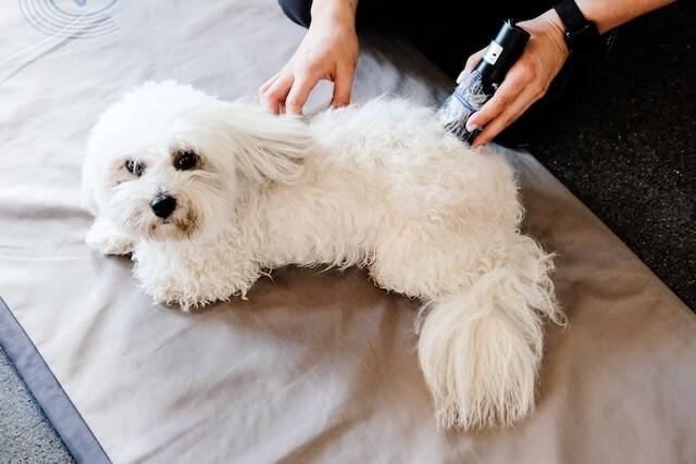 Laser Therapy